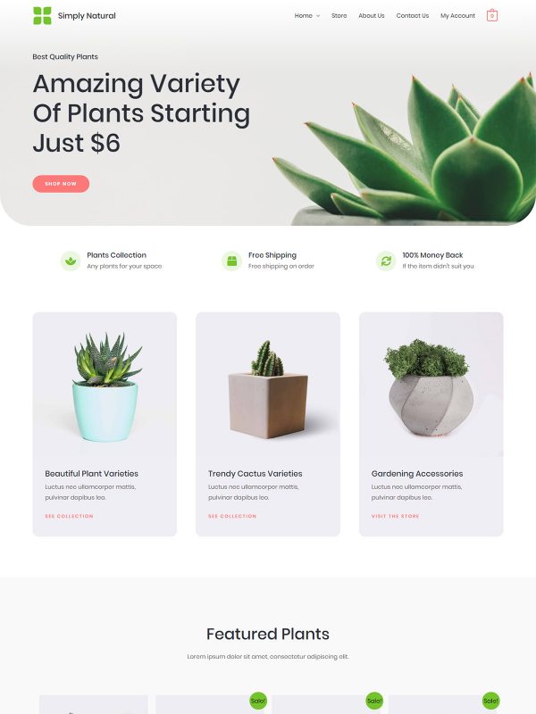 plant-store-02-home-zitengine-ecommerce-website